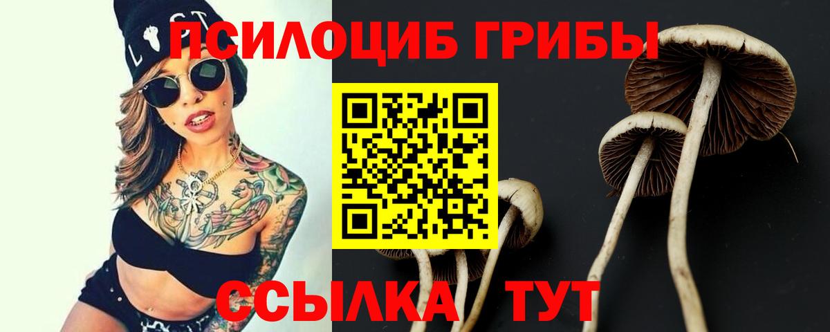 Псилоцибиновые грибы прущие грибы  Галлюциногенные грибы Psilocybine cubensis  Тайшет  Вход с VPN 